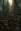   » Click to zoom ->