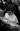   » Click to zoom ->